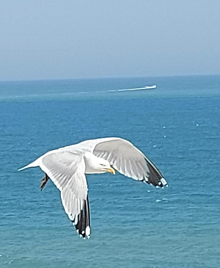 Le Paradis Bleu