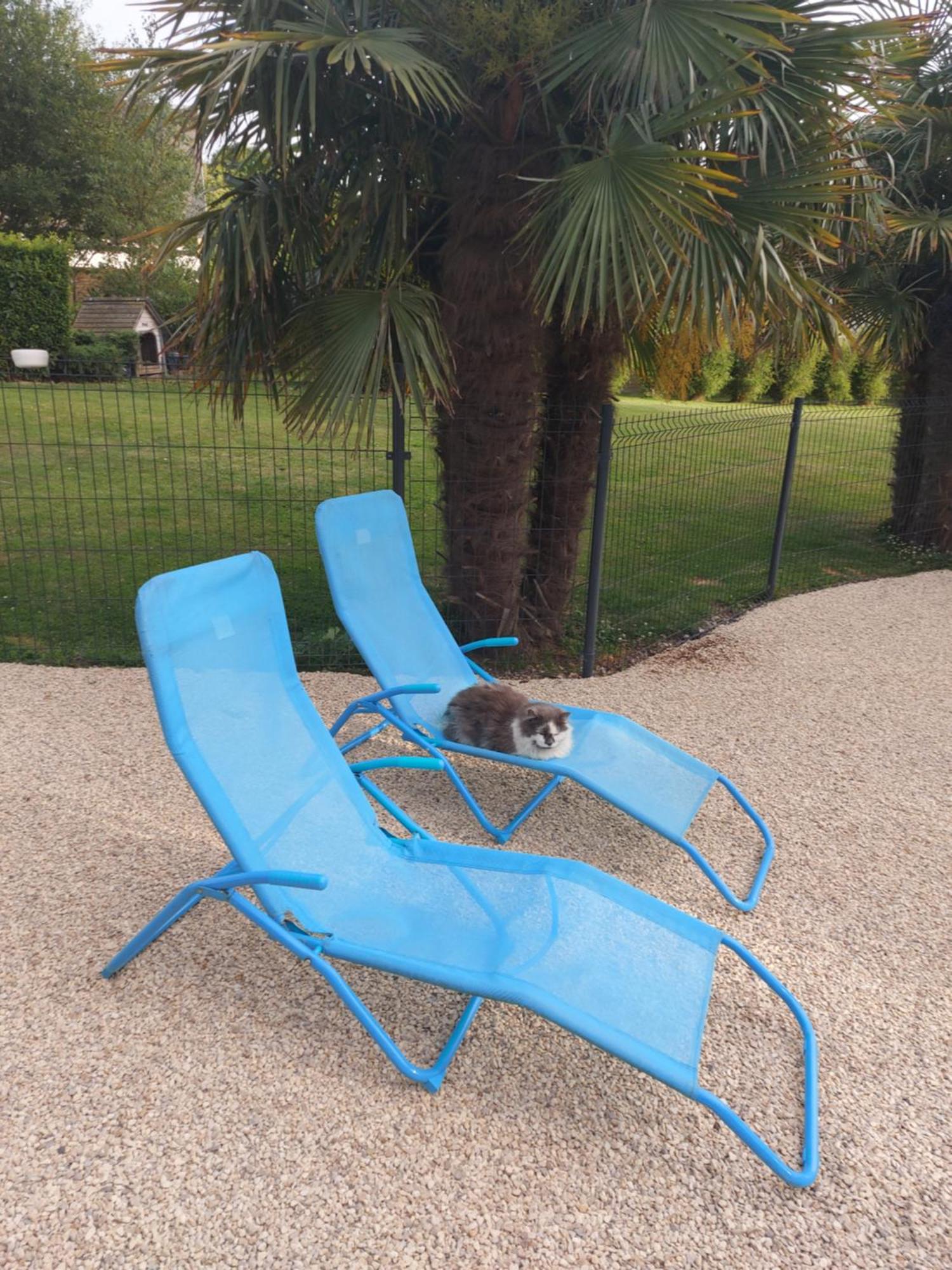 Le Paradis Bleu